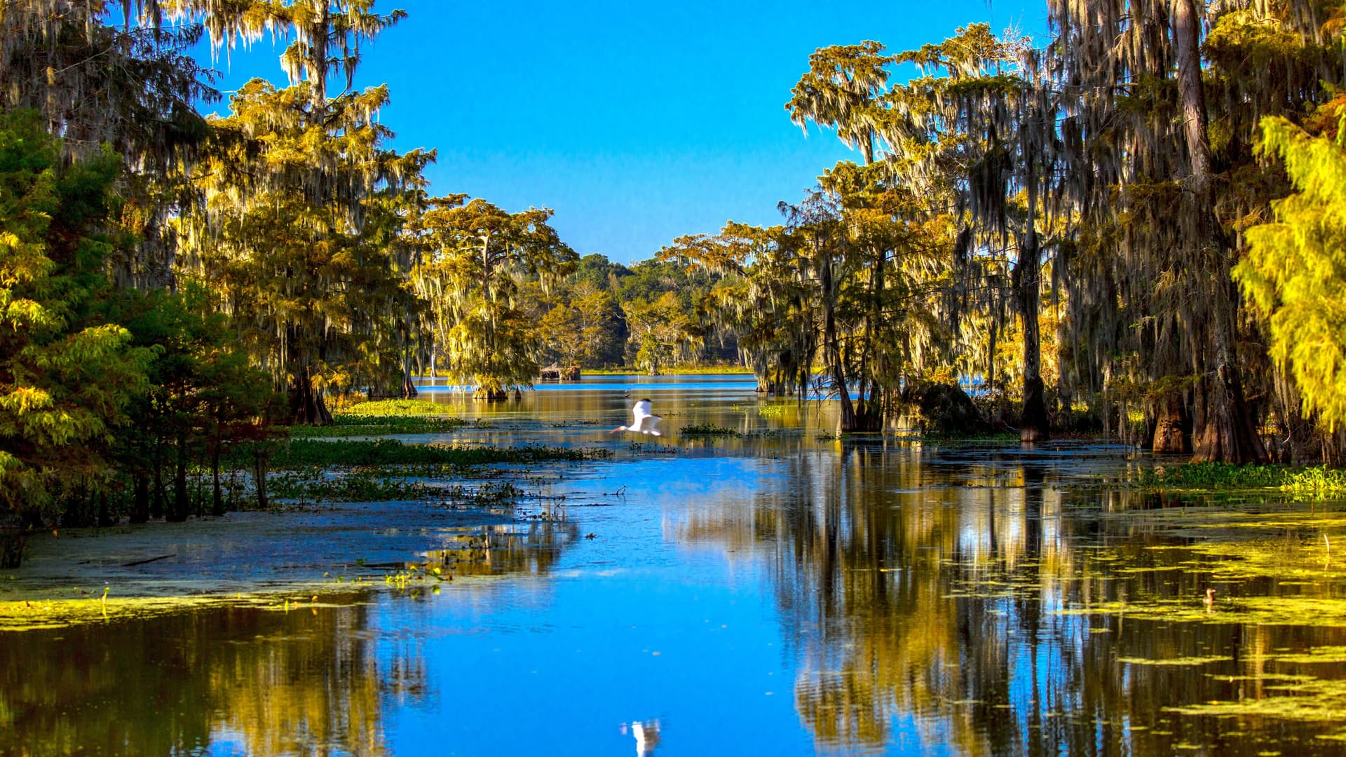 La Louisiane
