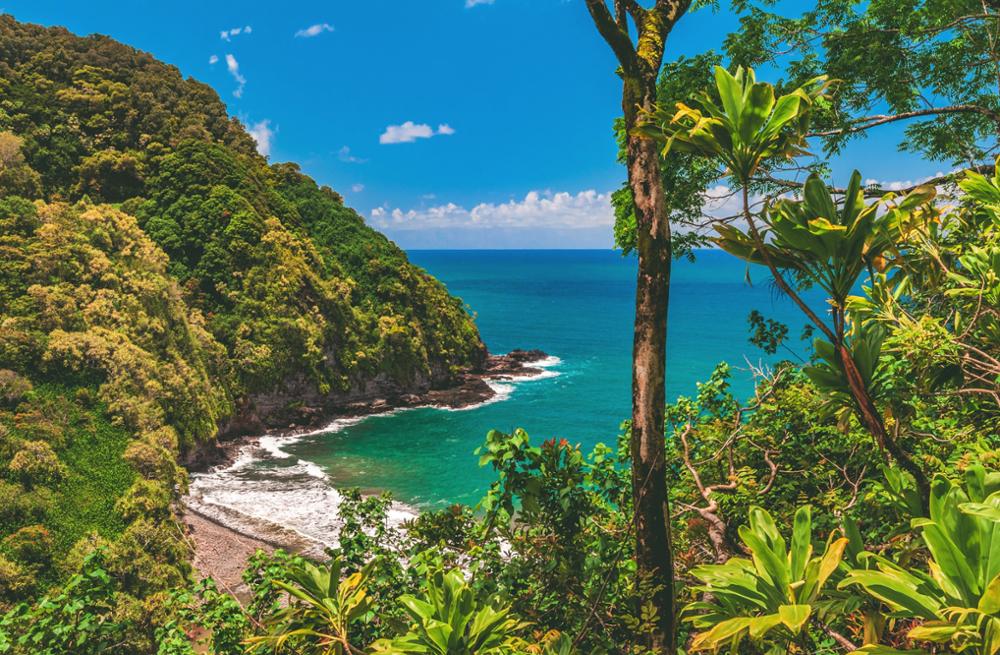 Les arrêts incontournables de la Hāna Highway