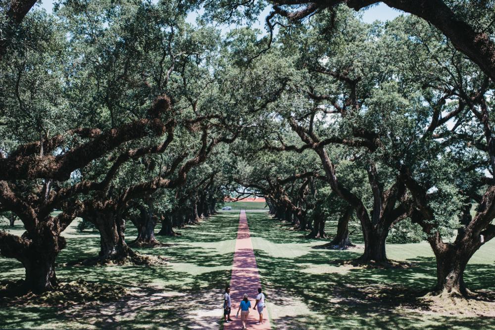 Découvrir la route des plantations en Louisiane : notre guide pratique
