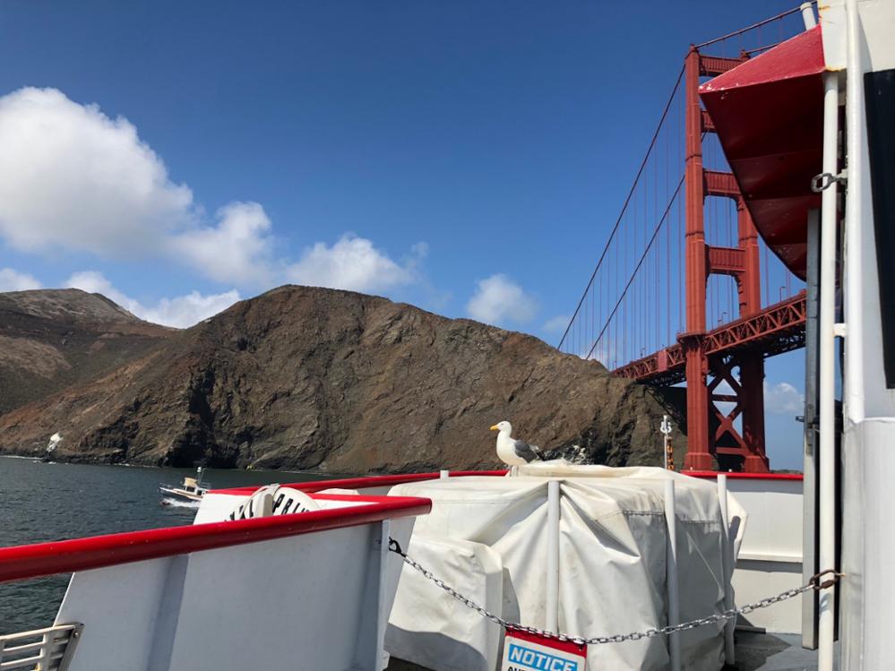 Les meilleurs points de vue pour voir le Golden Gate