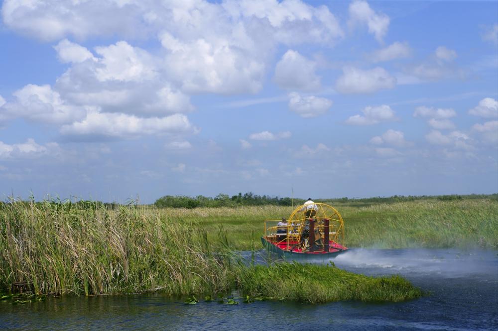 Que voir et que faire dans les Everglades