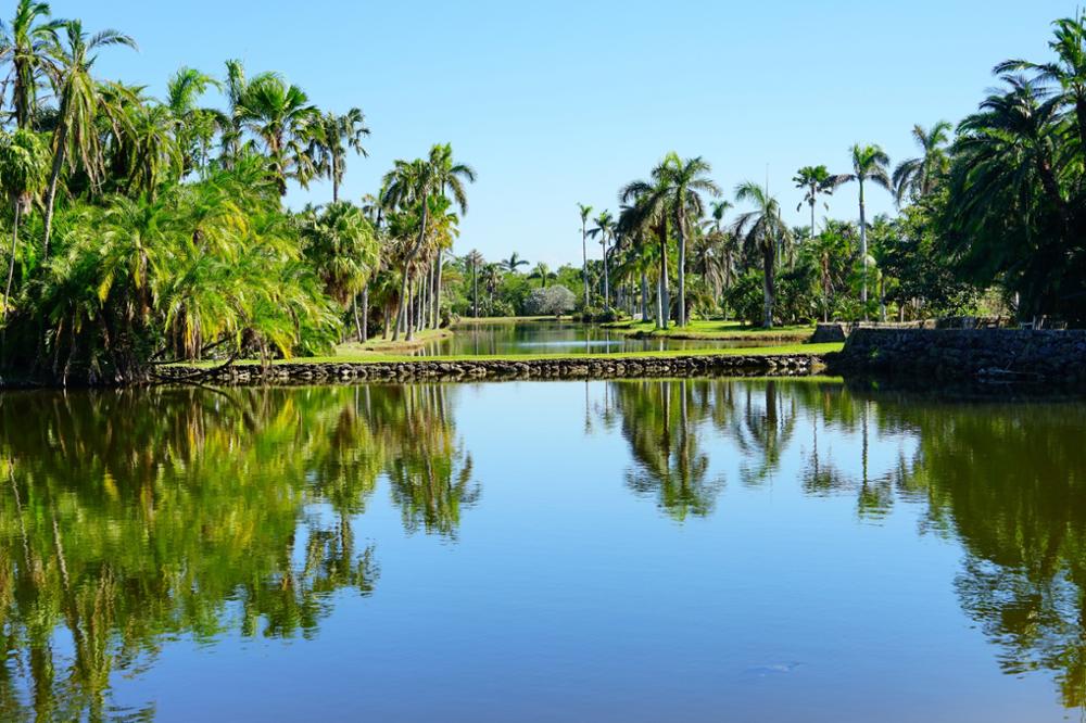 Que faire à Miami et dans les alentours ? 