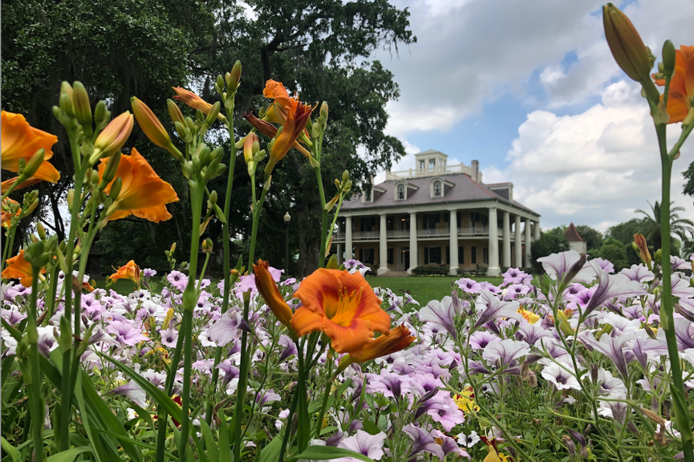 Découvrir la route des plantations en Louisiane : notre guide pratique