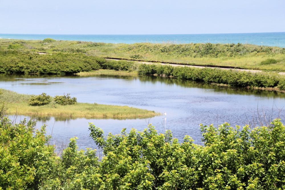 Que voir et que faire dans les Everglades