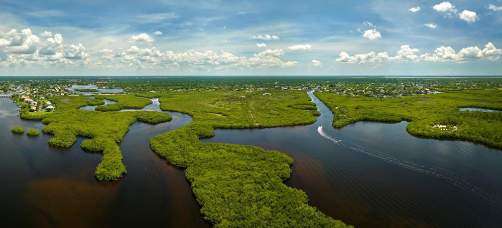Que voir et que faire dans les Everglades