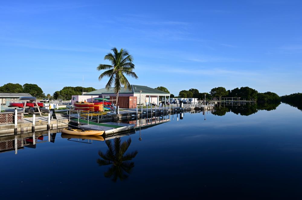 Que voir et que faire dans les Everglades