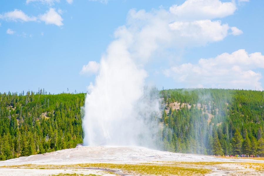 Les incontournable du parc national de Yellowstone : que faire, que voir ?