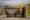 Les incontournable du parc national de Yellowstone : que faire, que voir ?