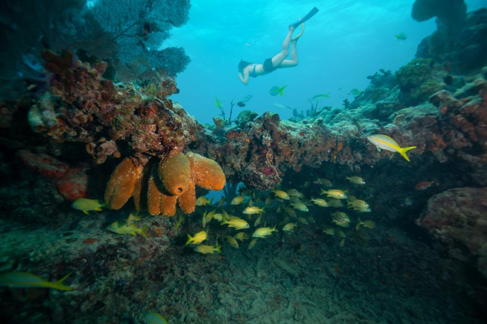 Que faire et que voir sur l’île de Key West ?