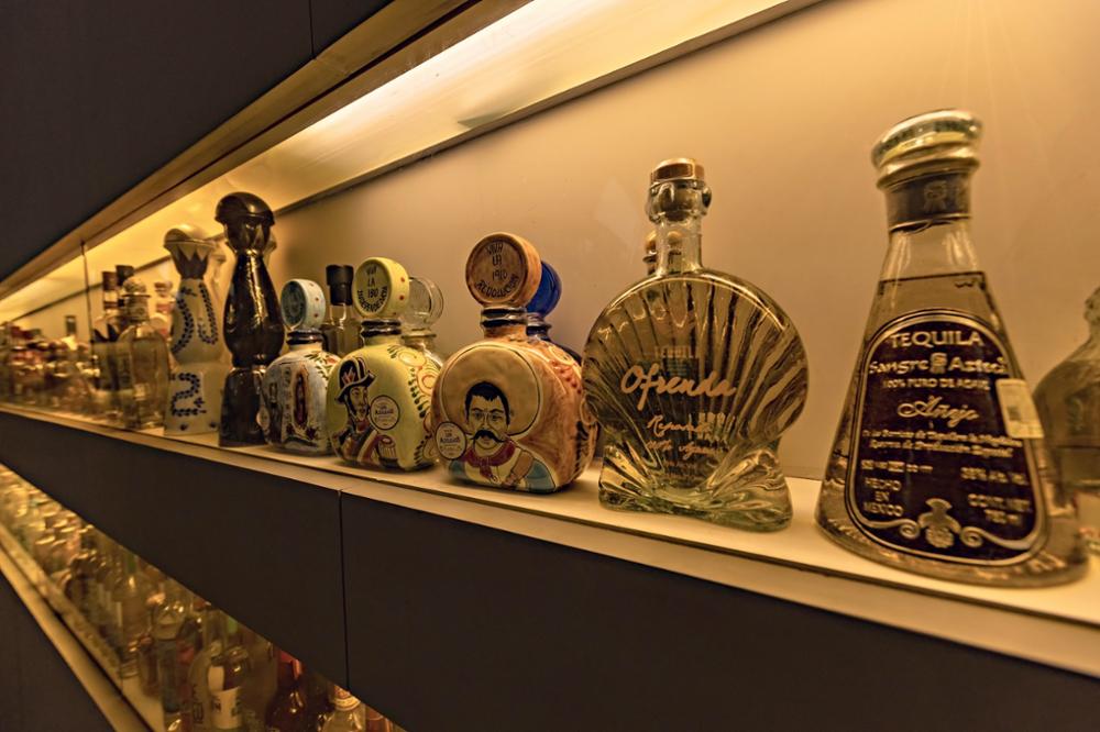 Tequila ou Mezcal : quelle différence ? 